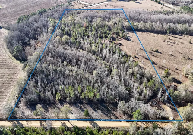 2nd image of 3120 Mount Olive Rd, Bonifay, FL 32425 | MLS# 783726