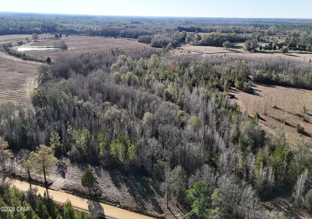 3rd image of 3120 Mount Olive Rd, Bonifay, FL 32425 | MLS# 783726