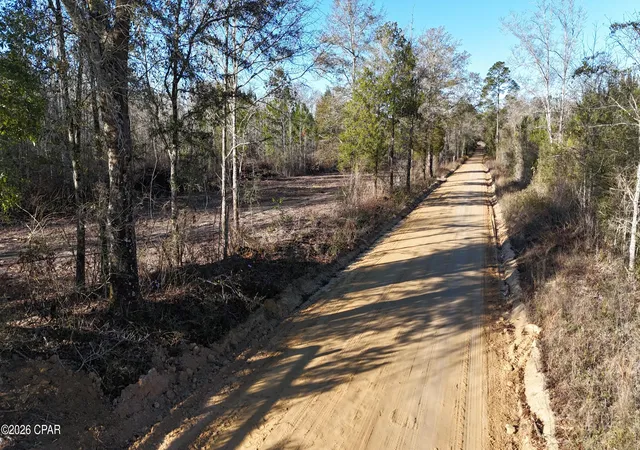 4th image of 3120 Mount Olive Rd, Bonifay, FL 32425 | MLS# 783726