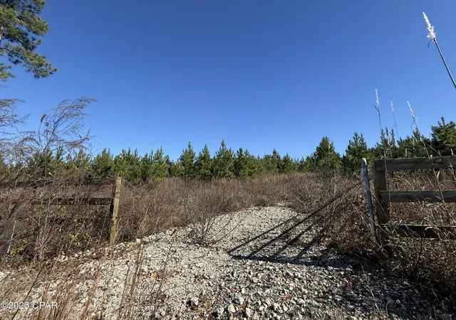 1st image of 00 Tanner Rd, Marianna, FL 32448 | MLS# 783805