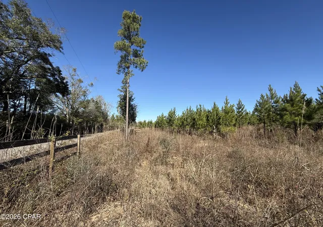 2nd image of 00 Tanner Rd, Marianna, FL 32448 | MLS# 783805