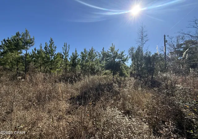 3rd image of 00 Tanner Rd, Marianna, FL 32448 | MLS# 783805