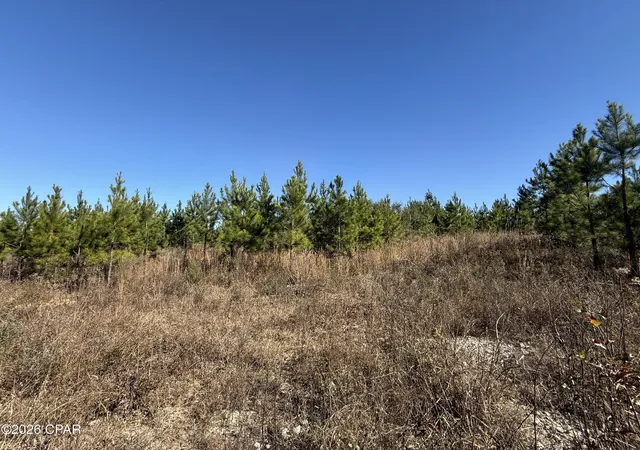 4th image of 00 Tanner Rd, Marianna, FL 32448 | MLS# 783805