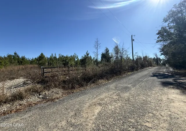 5th image of 00 Tanner Rd, Marianna, FL 32448 | MLS# 783805