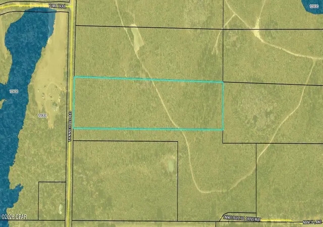 9th image of 00 Tanner Rd, Marianna, FL 32448 | MLS# 783805