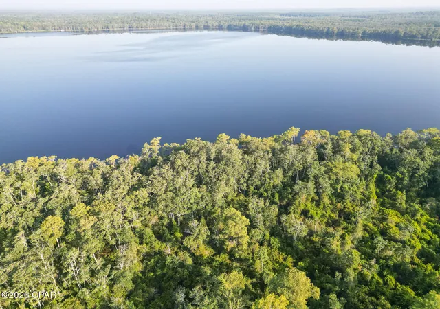 Homes for sale in Caryville, FL | 3902 Union Hill Rd, Caryville, FL 32427 | MLS# 784025