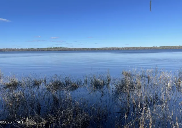 Homes for sale in Caryville, FL | 3902 Union Hill Rd, Caryville, FL 32427 | MLS# 784025