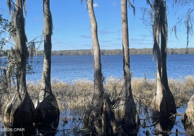 Homes for sale in Caryville, FL | 3902 Union Hill Rd, Caryville, FL 32427 | MLS# 784025