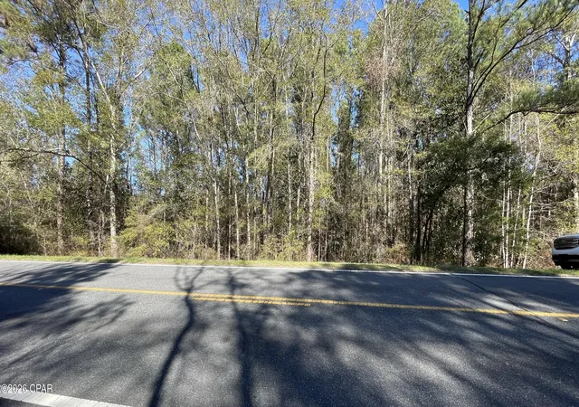 Homes for sale in Cottondale, FL | 0 Jacob Main St St, Cottondale, FL 32431 | MLS# 784031