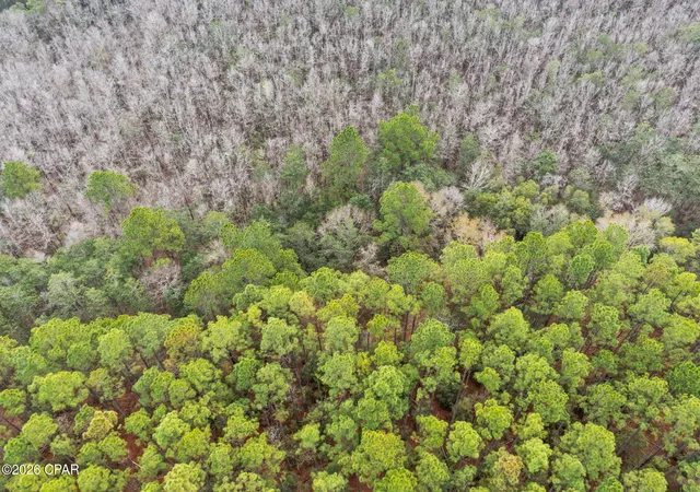 10th image of Xxx White Oak Ln, Bonifay, FL 32425 | MLS# 784147