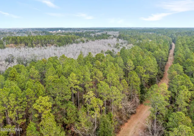 3rd image of Xxx White Oak Ln, Bonifay, FL 32425 | MLS# 784147