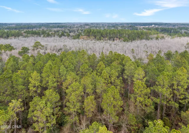 4th image of Xxx White Oak Ln, Bonifay, FL 32425 | MLS# 784147