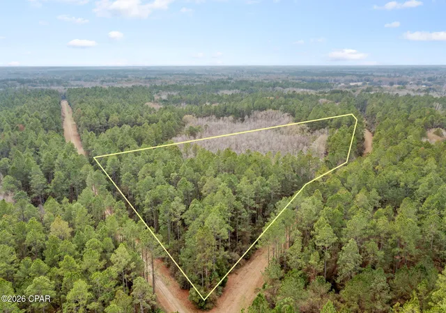 Homes for sale in Bonifay, FL | Xxx Hawthorne Trl, Bonifay, FL 32425 | MLS# 784148