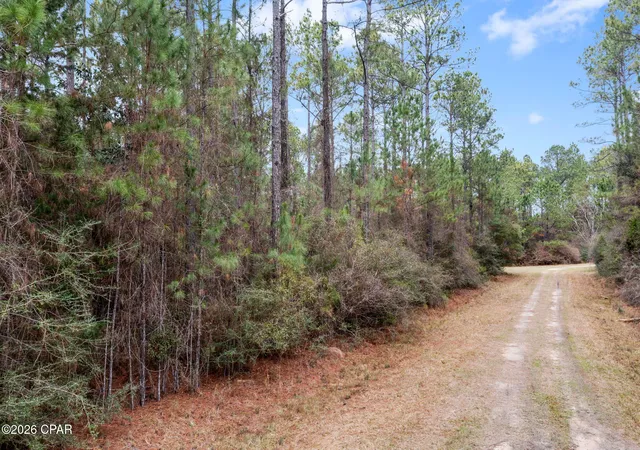 Homes for sale in Bonifay, FL | Xxx Hawthorne Trl, Bonifay, FL 32425 | MLS# 784148