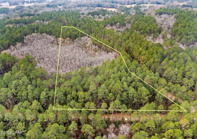 3rd image of Xxx Hawthorne Trl, Bonifay, FL 32425 | MLS# 784148