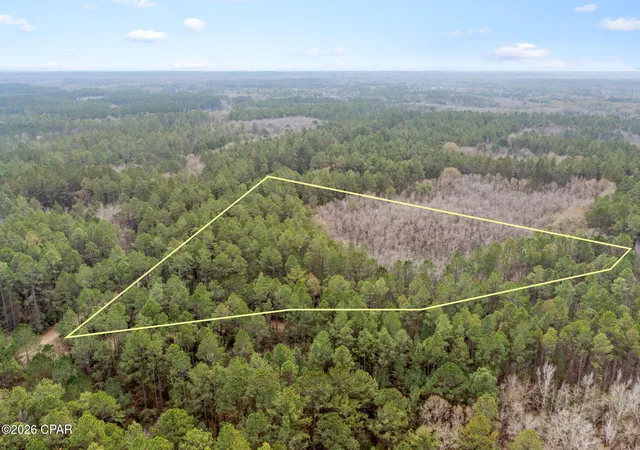 4th image of Xxx Hawthorne Trl, Bonifay, FL 32425 | MLS# 784148