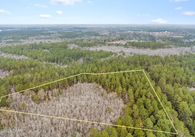 5th image of Xxx Hawthorne Trl, Bonifay, FL 32425 | MLS# 784148