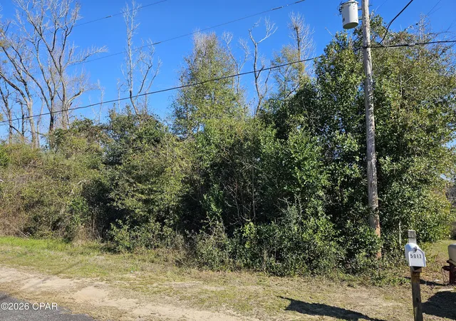 2nd image of 000 Flynt Dr, Marianna, FL 32446 | MLS# 784331