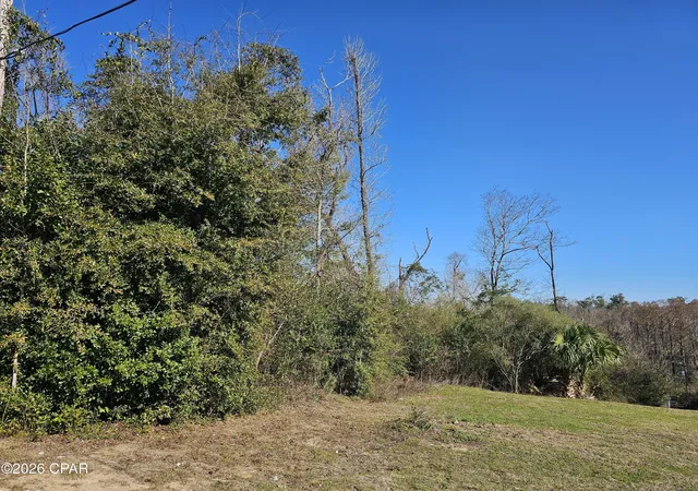 3rd image of 000 Flynt Dr, Marianna, FL 32446 | MLS# 784331