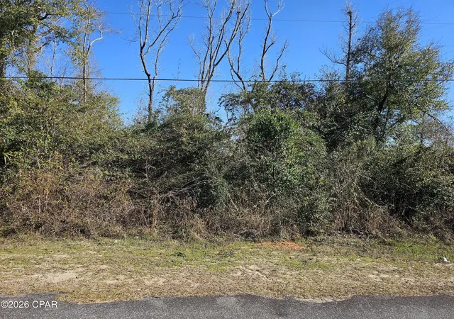 4th image of 000 Flynt Dr, Marianna, FL 32446 | MLS# 784331