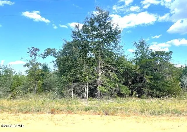 Photo 1 of Land for sale at 0 Fairway Dr, Marianna, FL 32448 | MLS# 784499 | Listing updated on 2026-05-30