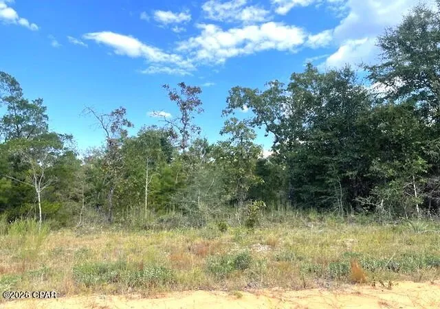 Photo 2 of Land for sale at 0 Fairway Dr, Marianna, FL 32448 | MLS# 784499 | Listing updated on 2026-05-30