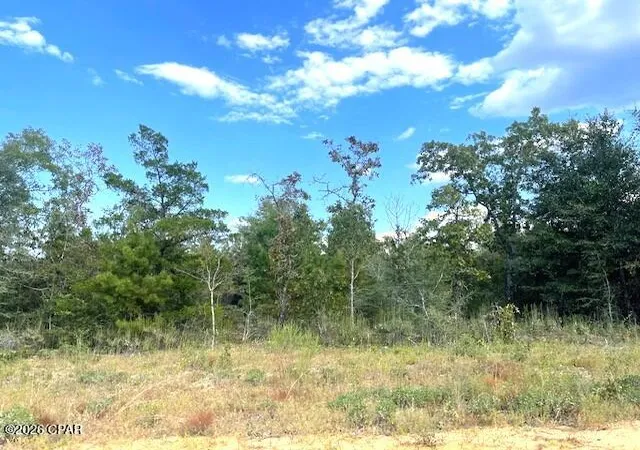 Photo 3 of Land for sale at 0 Fairway Dr, Marianna, FL 32448 | MLS# 784499 | Listing updated on 2026-05-30