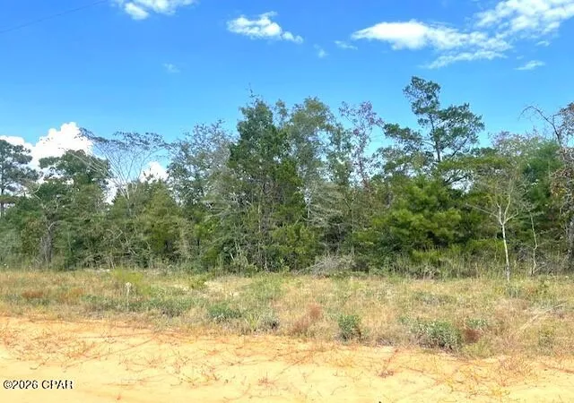 Photo 4 of Land for sale at 0 Fairway Dr, Marianna, FL 32448 | MLS# 784499 | Listing updated on 2026-05-30