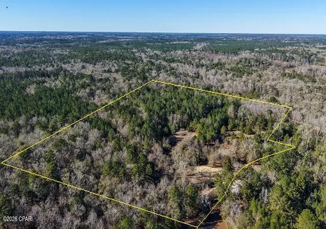 Homes for sale in Ponce De Leon, FL | 660 White Creek Rd, Ponce De Leon, FL 32455 | MLS# 784582