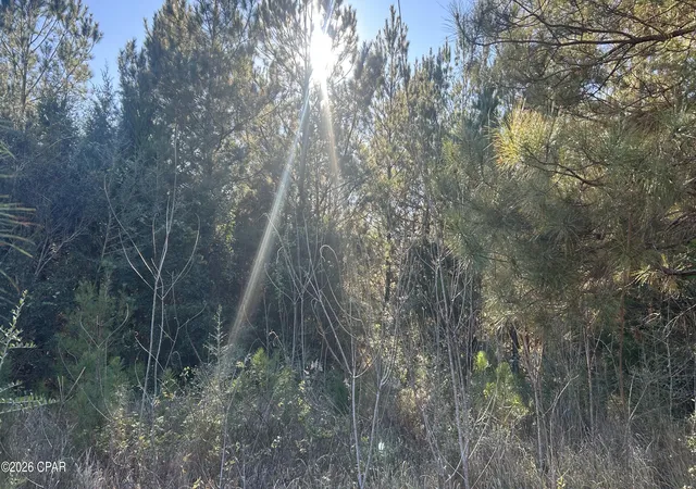 Homes for sale in Ponce De Leon, FL | 660 White Creek Rd, Ponce De Leon, FL 32455 | MLS# 784582