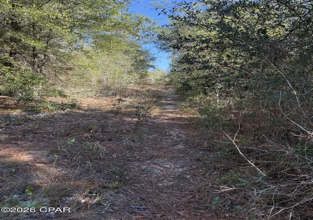 14th image of Lot 21 Grassy Pond Rd, Chipley, FL 32428 | MLS# 784669