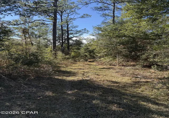 1st image of Lot 21 Grassy Pond Rd, Chipley, FL 32428 | MLS# 784669