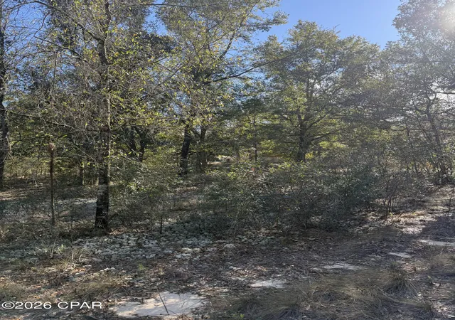 2nd image of Lot 21 Grassy Pond Rd, Chipley, FL 32428 | MLS# 784669