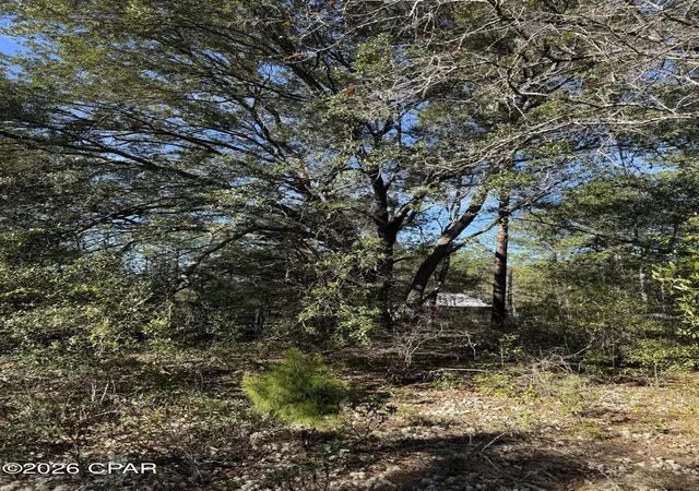 3rd image of Lot 21 Grassy Pond Rd, Chipley, FL 32428 | MLS# 784669