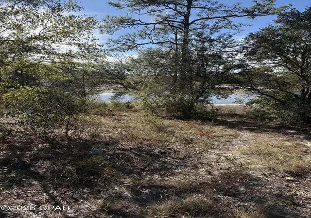 4th image of Lot 21 Grassy Pond Rd, Chipley, FL 32428 | MLS# 784669