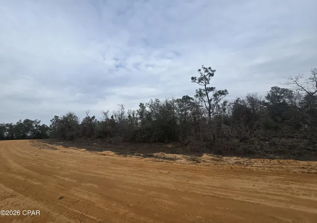 4th image of 000 Pembroke, Alford, FL 32420 | MLS# 784692