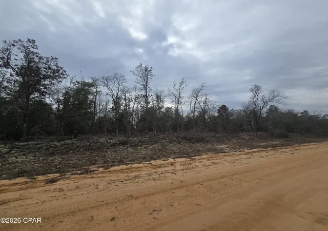 5th image of 000 Pembroke, Alford, FL 32420 | MLS# 784692