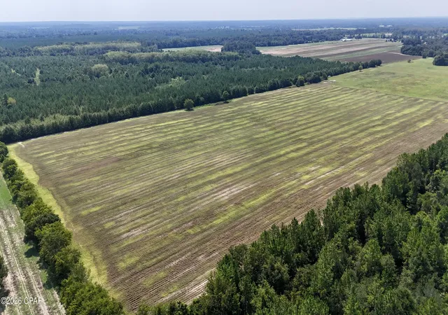 Photo 1 of Land for sale at 0 Peanut Rd, Cottondale, FL 32431 | MLS# 784918 | Listing updated on 2026-09-02