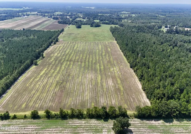Photo 4 of Land for sale at 0 Peanut Rd, Cottondale, FL 32431 | MLS# 784918 | Listing updated on 2026-09-02