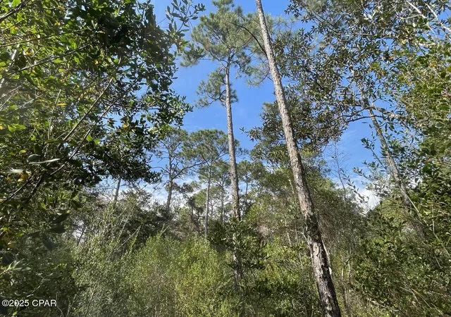 2nd image of 0000 Lavon Rd, Milton, FL 32583 | MLS# 784919