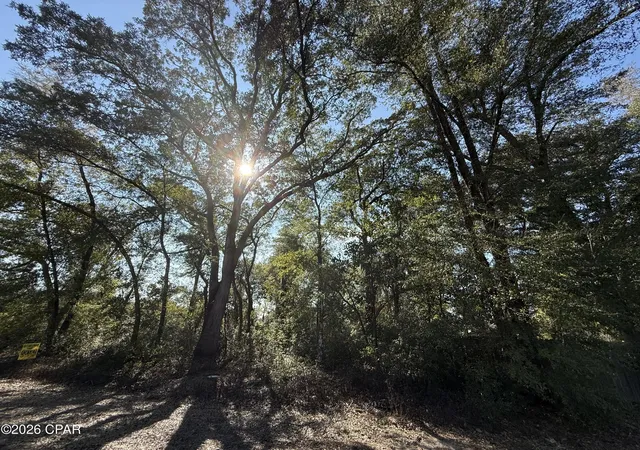 1st image of 0001 Appalachee Trl, Marianna, FL 32446 | MLS# 785231