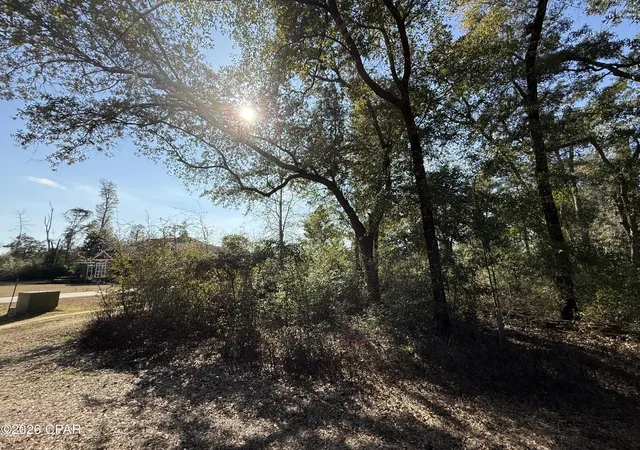 3rd image of 0001 Appalachee Trl, Marianna, FL 32446 | MLS# 785231