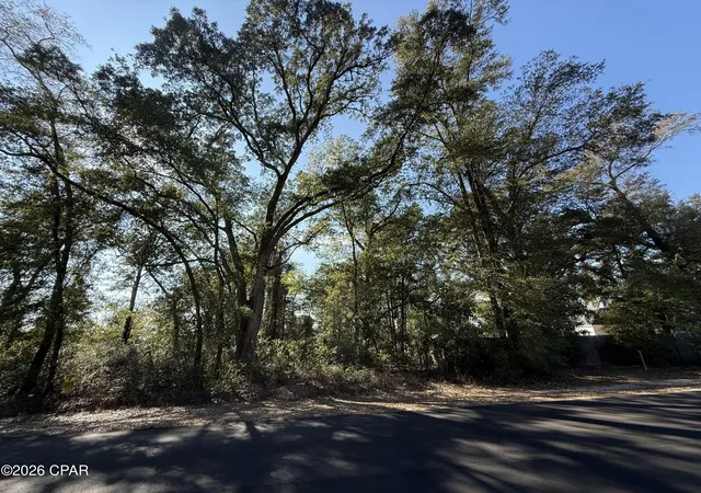 4th image of 0001 Appalachee Trl, Marianna, FL 32446 | MLS# 785231