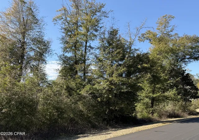 2nd image of 0003 Appalachee Trl, Marianna, FL 32446 | MLS# 785235