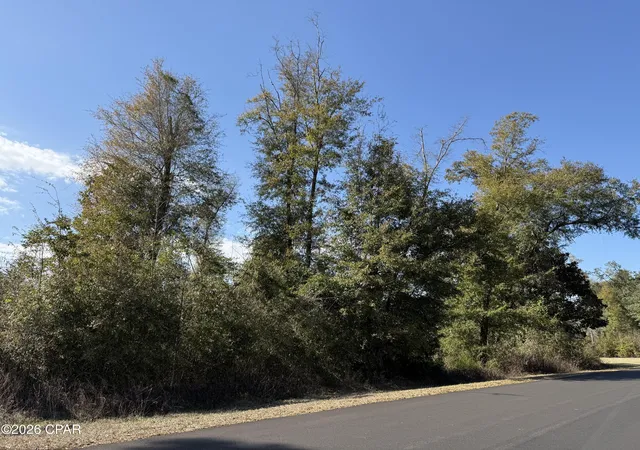 4th image of 0003 Appalachee Trl, Marianna, FL 32446 | MLS# 785235