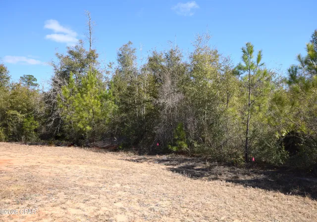 Homes for sale in Alford, FL | Xxx Spirit Ct, Alford, FL 32420 | MLS# 785347