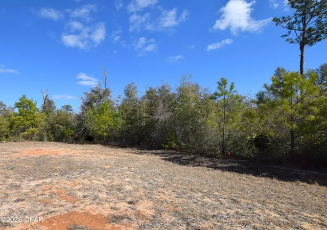 Homes for sale in Alford, FL | Xxx Spirit Ct, Alford, FL 32420 | MLS# 785347
