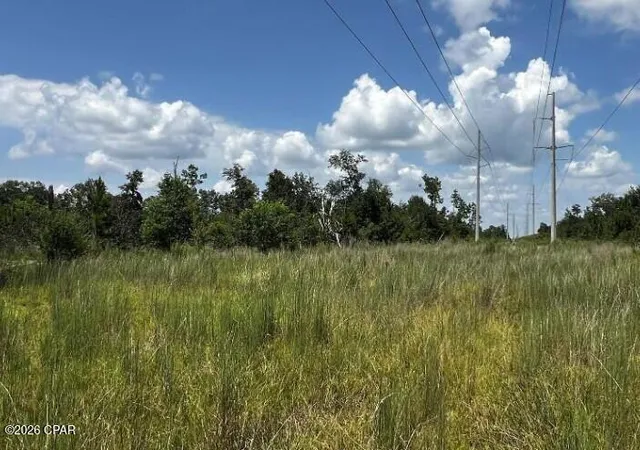 4th image of 8450 Kiwi Ln, Youngstown, FL 32466 | MLS# 785357