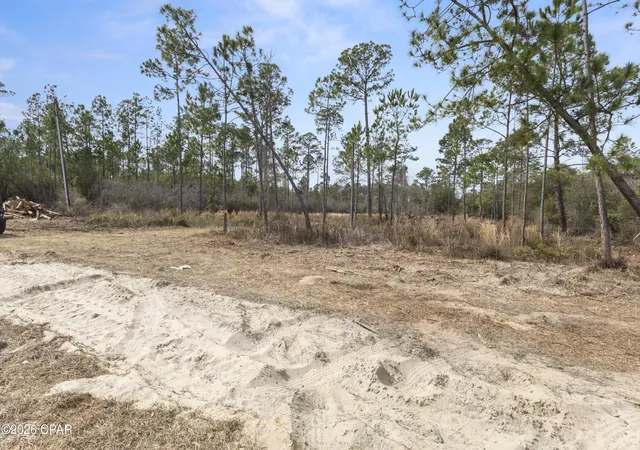 18th image of 21101 Joann Ln, Fountain, FL 32438 | MLS# 785387