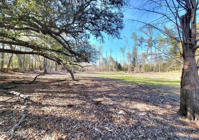 1st image of Tbd Highway 90, Sneads, FL 32460 | MLS# 785462